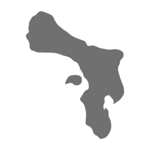 logo bonaire grijs png