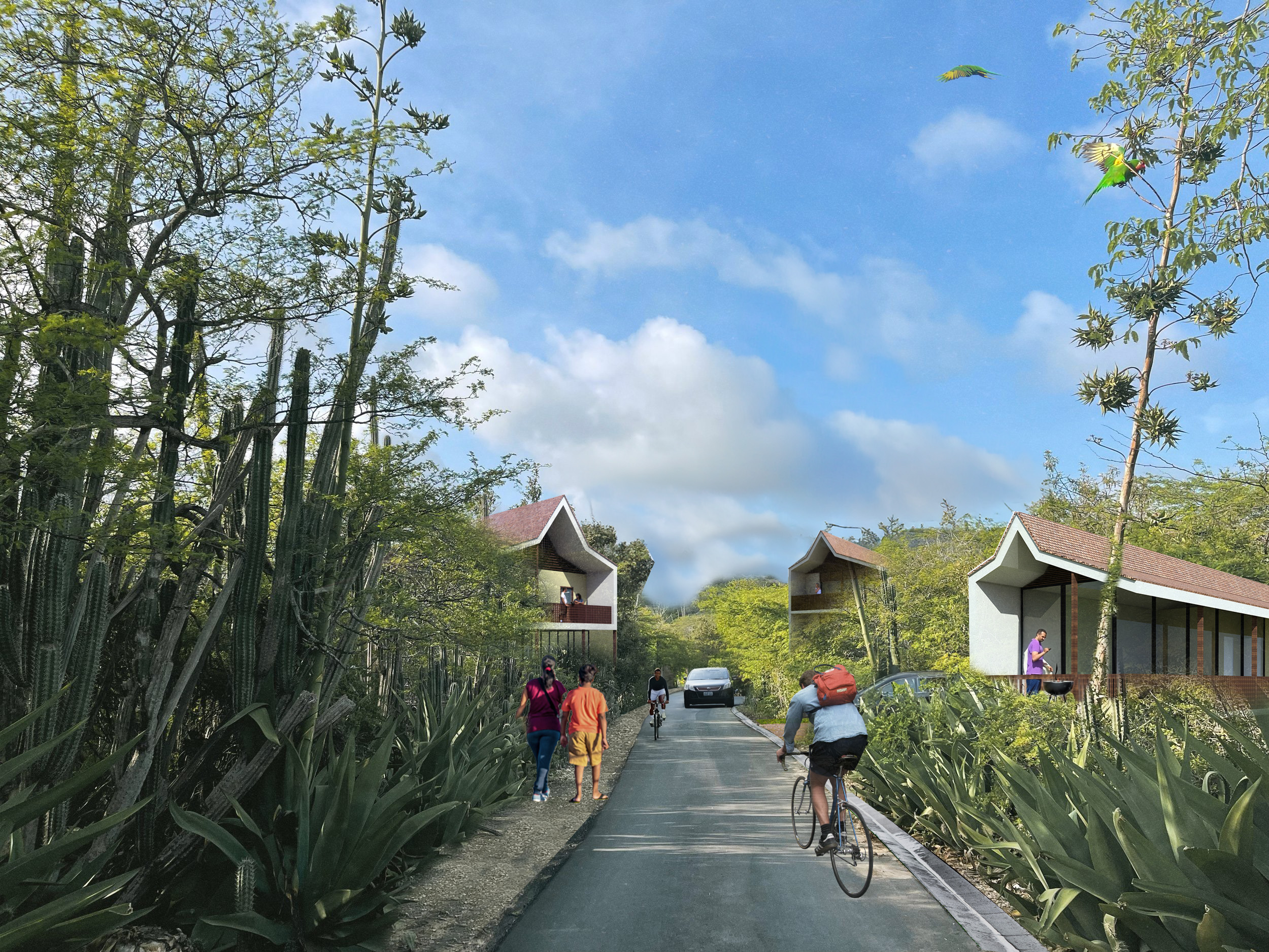 streetview collage